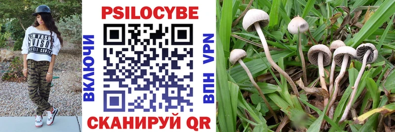 Галлюциногенные грибы Psilocybine cubensis  где найти наркотики  Красноперекопск 